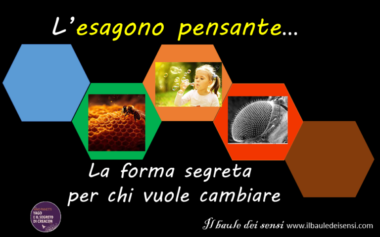 Esagoni_cambiamento