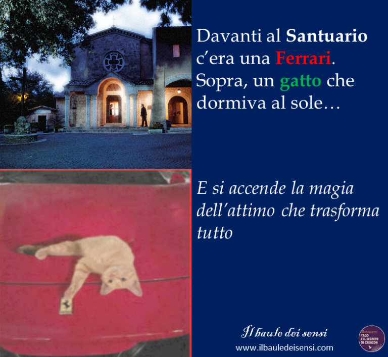 Ferrari gatto fonte colombo varela