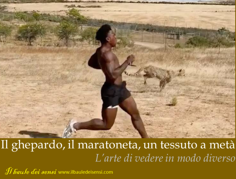 ghepardo maratoneta