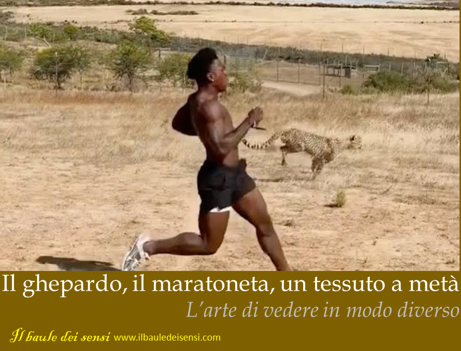 ghepardo maratoneta